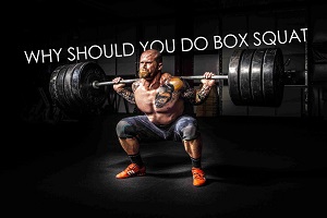 Why Should You Do Box Squat