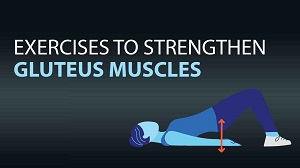 Exercises to Strengthen Gluteus Muscles