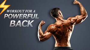Workouts For a Powerful Back