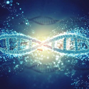 Effects Of Genes on Your Health