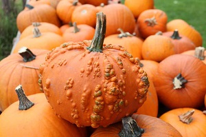 What Are the Benefits of Pumpkin